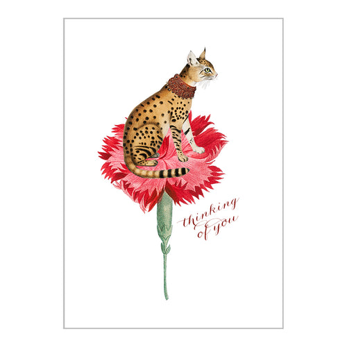 Occasion Cards - Cat on Flower