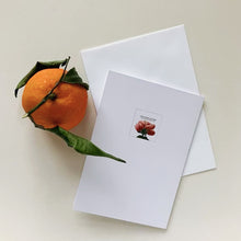 Holiday Greeting Cards - Christmas Coquette