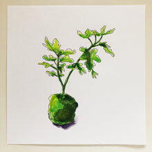 Original Art - Watercolours and Collage