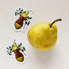Stickers - Die Cut - Cello Pear