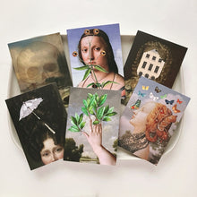 Cards - Blank - Daphne
