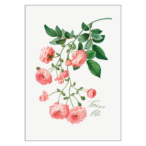Occasion Cards - Bonne Fête - Rambler Rose