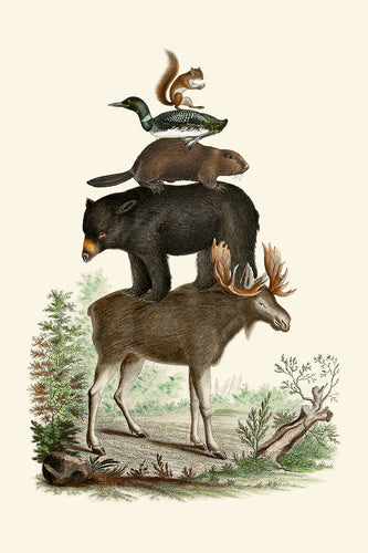 Occasion Cards - Canadiana - Team Canada