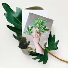 Cards - Blank - Daphne