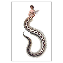 Postcards - Small - Eel Maid