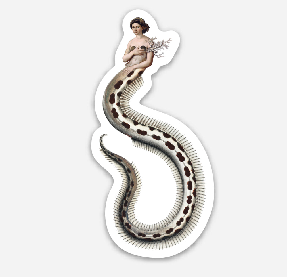 Sticker - Die Cut - Eel Maid