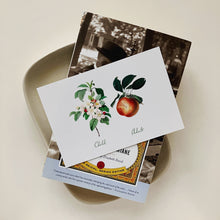 Postcards - Small - Family Tree