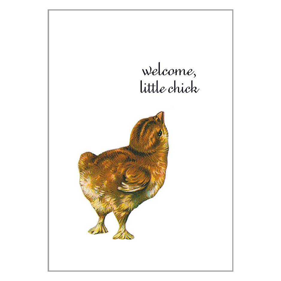 Occasion Cards - New Baby - Chick