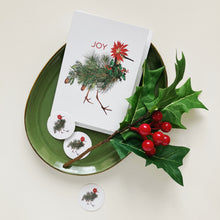 Holiday - Seals - Joy Bird Set