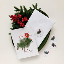 Holiday - Seals - Joy Bird Set