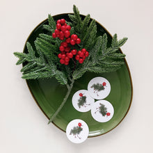 Holiday - Seals - Joy Bird Set