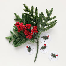 Holiday - Seals - Joy Bird Set