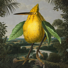 Postcards - Square - Lemon Bird