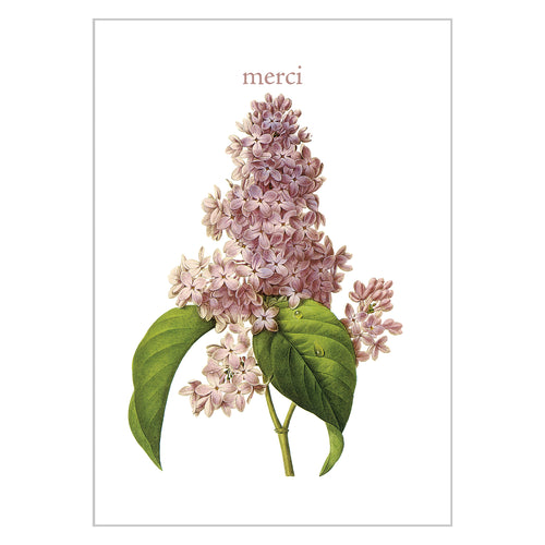 Occasion Cards - Thank You - Lilac Merci
