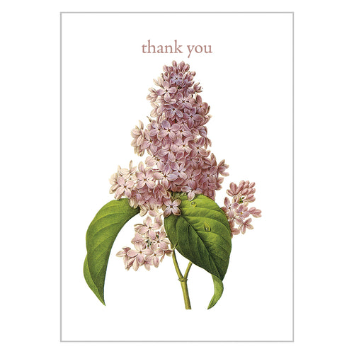 Occasion Cards - Thank You - Lilac