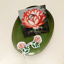 Postcards - Square - Lotus Dream