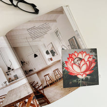 Postcards - Square - Lotus Dream