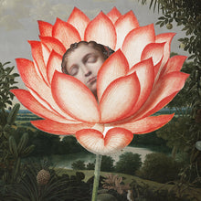 Postcards - Square - Lotus Dream