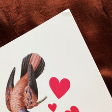 Sale Section - Cards - Dog Ear Set