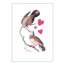 Occasion Cards - Love Birds