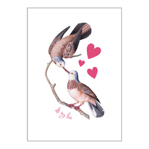 Occasion Cards - Love Birds