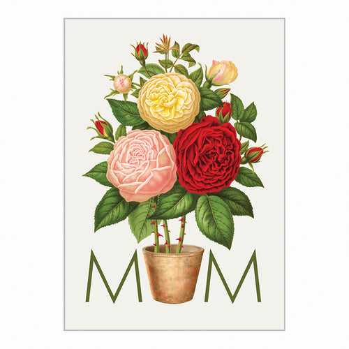 Occasion Cards - Mother’s Day - Flowers for Mum
