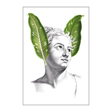 Postcards - Small - Plant Music