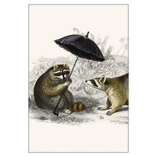 Postcards - Small - Raccoons