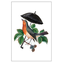 Postcards - Small - Spring Robin