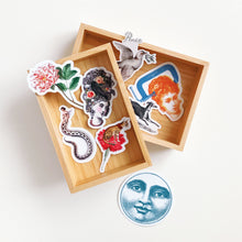 Stickers - Die Cut - Cat on Flower