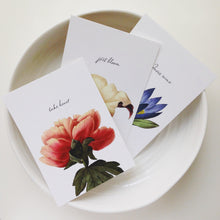 Botanical Postcards - Just Bloom