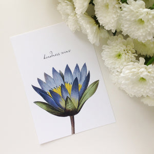 Botanical Postcards - Kindness Wins