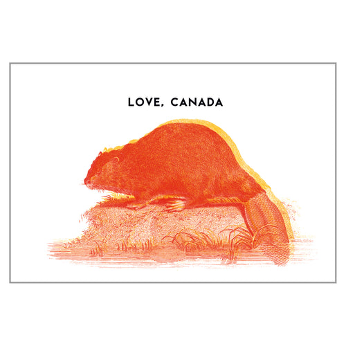 Canadiana - Beaver Postcard