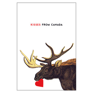 Canadiana - Moose Postcard