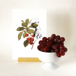 Mini Prints - Fruit Collage - Cherries
