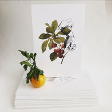 Mini Prints - Fruit Collage - Raspberries