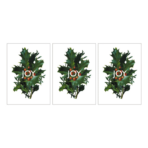 Holiday Greeting Cards - Joy Set of 3