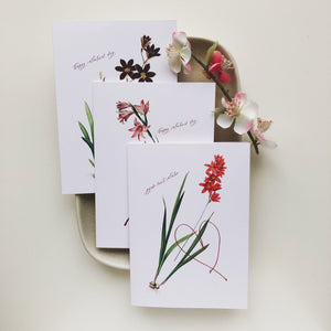 Occasion Cards - Valentine’s Day French - Ixia Patens Card