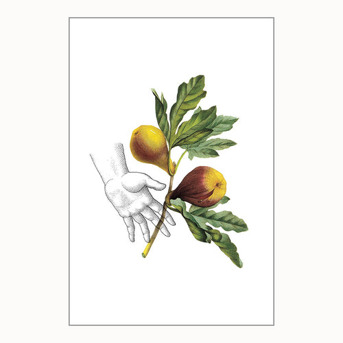 Mini Prints - Fruit Collage - Figs