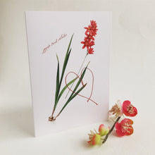 Occasion Cards - Valentine’s Day French - Ixia Patens Card