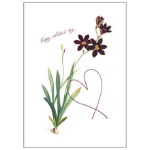 Occasion Cards - Valentine’s Day - Ixia Grandiflora Card
