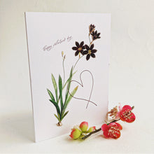 Occasion Cards - Valentine’s Day - Ixia Grandiflora Card