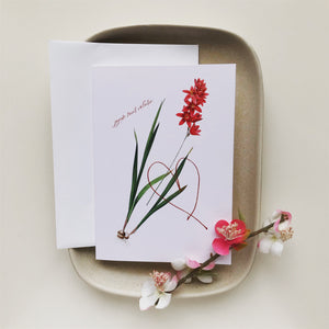 Occasion Cards - Valentine’s Day French - Ixia Patens Card
