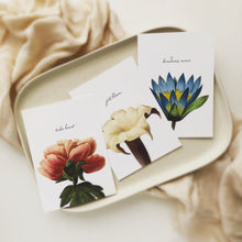 Botanical Postcards - The Set of 3