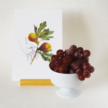 Mini Prints - Fruit Collage - Figs