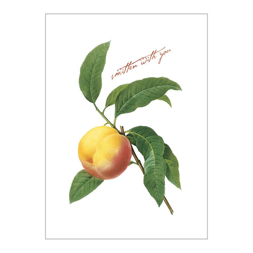 Love - Peach Postcard