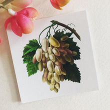 Gift Enclosure Card - Vintage - Grapes White