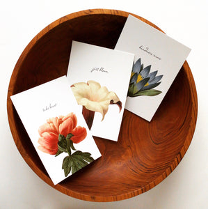 Botanical Postcards - Kindness Wins