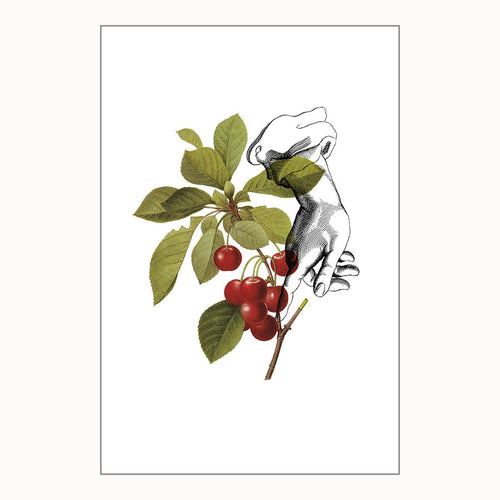 Mini Prints - Fruit Collage - Cherries