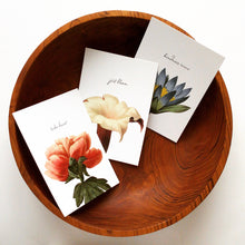 Botanical Postcards - Take Heart